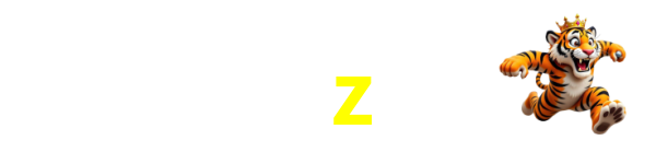 Logo da 9z